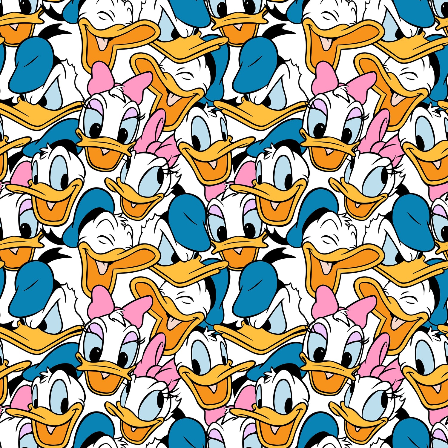 Duck Duo