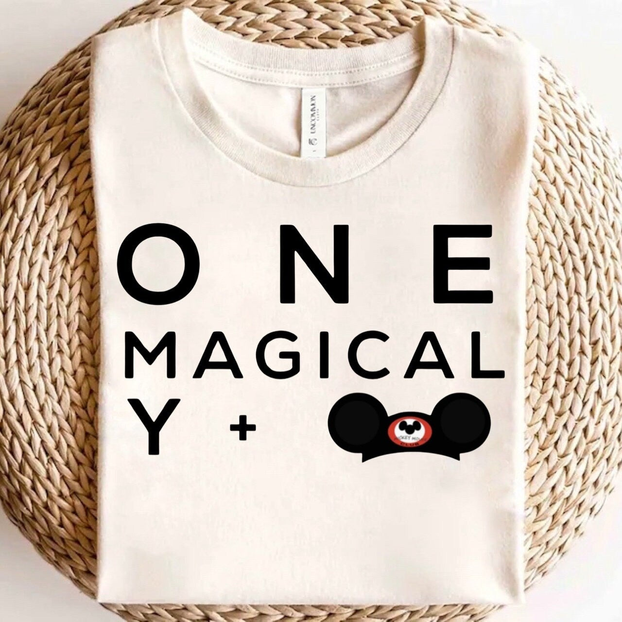 ONE Magical Year Disney Birthday Set, Girls Disney Birthday Set, First Birthday Disney Set, Kids Disney Birthday Outfit, Disney Birthday
