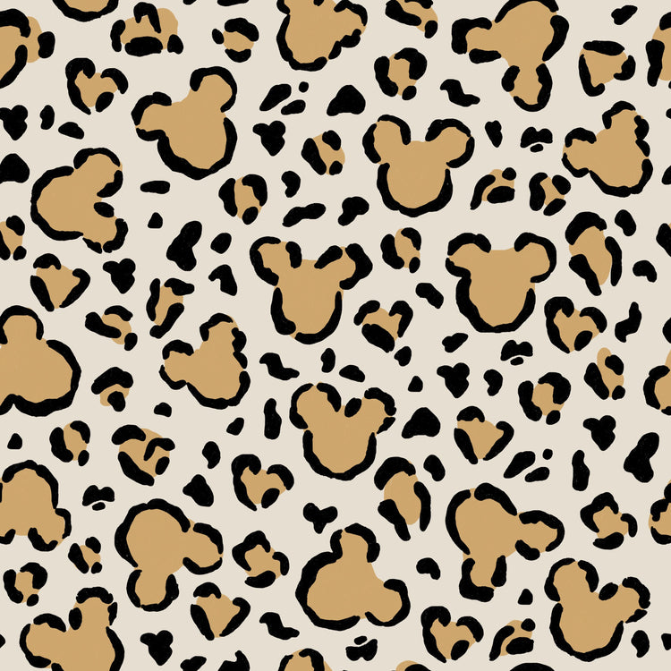 Cheetah Safari