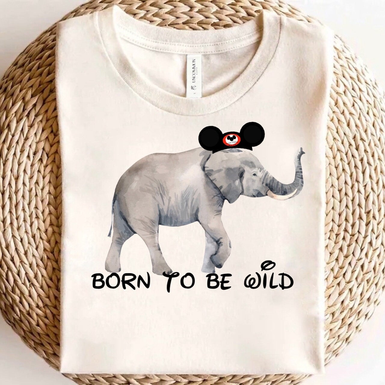 Kids Animal Kingdom Shirt Set, Born to be Wild Tee, Disney Set, Disney Vacation outfits, Disney Outfit, Boys Disney Outfit, Lion T-Shirt